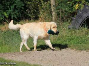 Ramchaine Romeo „Murphy“