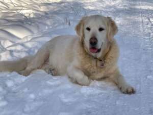 Ramchaine Romeo „Murphy“