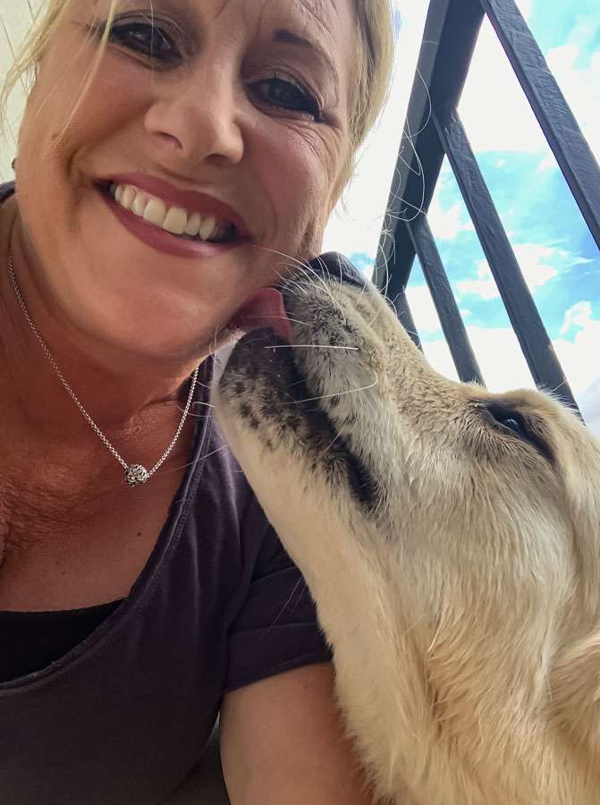 Beyond the Pearly Gates Golden Retriever Kennel Beyond the Pearly Gates Golden Retriever Kennel