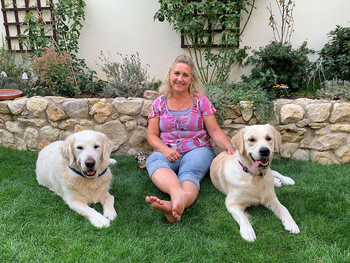 Beyond the Pearly Gates Golden Retriever Kennel Beyond the Pearly Gates Golden Retriever Kennel