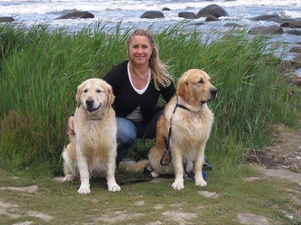 Beyond the Pearly Gates Golden Retriever Kennel Beyond the Pearly Gates Golden Retriever Kennel