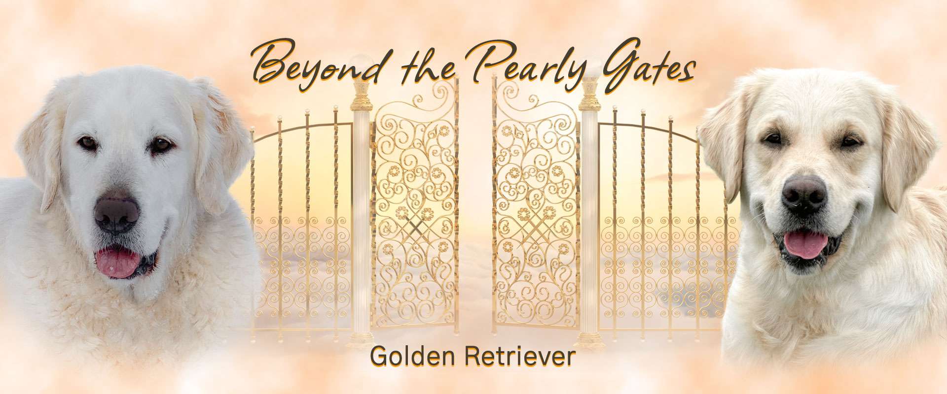 Beyond the Pearly Gates Beyond the Pearly Gates