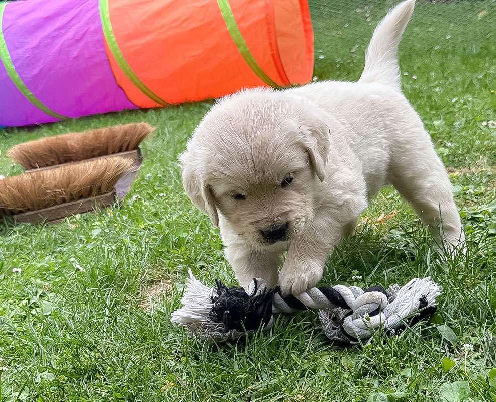 A-Wurf-040 A-Wurf Galerie